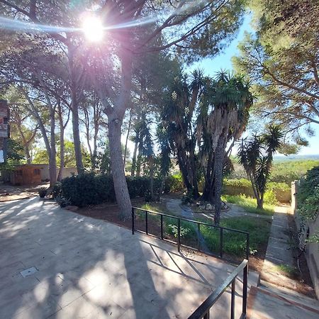 Chalet Rustico Con Piscina Y Barbacoa, Valencia Torrent  Zewnętrze zdjęcie